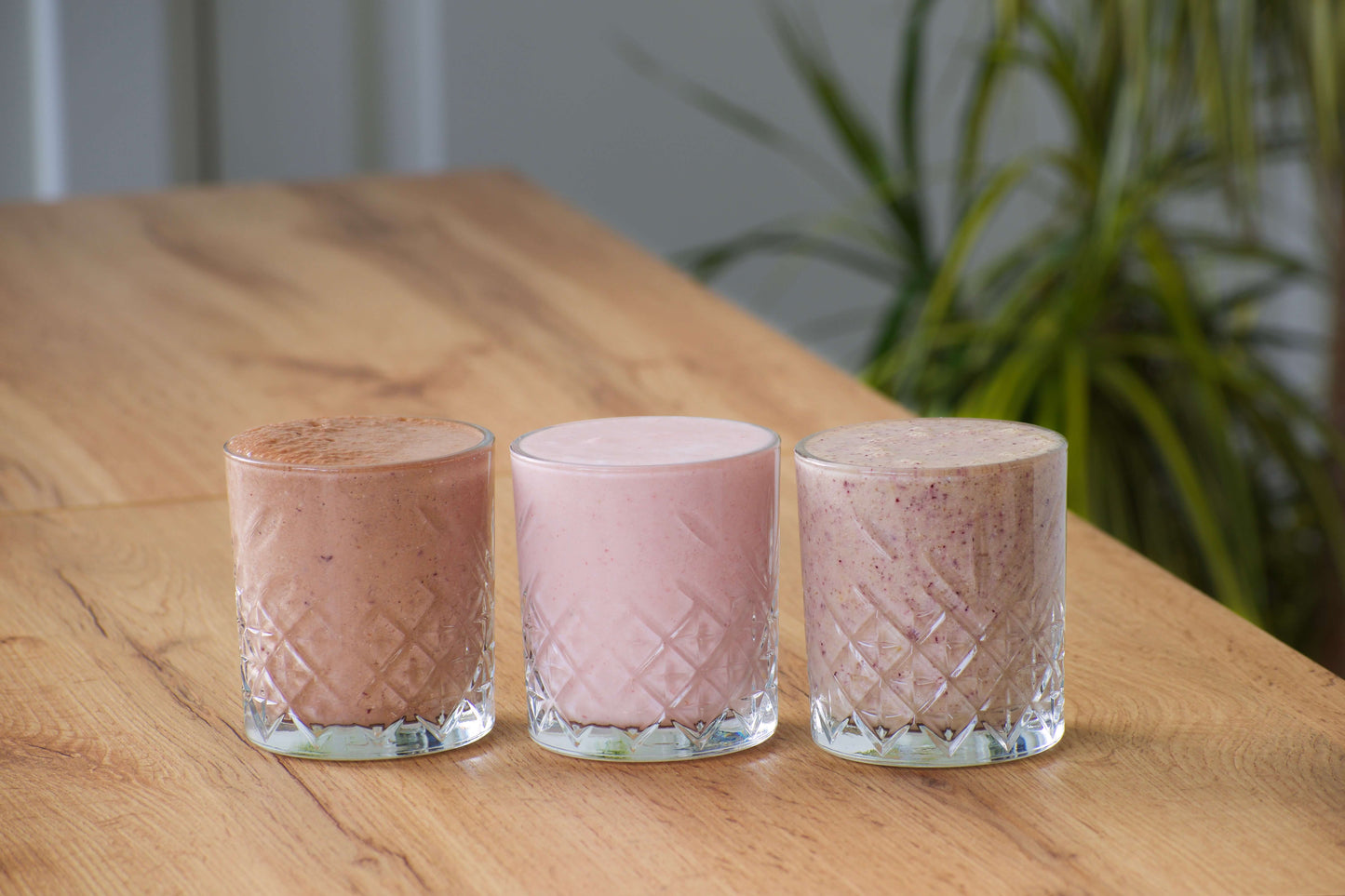 Starter Bag shown blended featuring three ready-to-blend protein smoothies: Tropical Harmony, Strawberry Balance, and Decadent Delight, made with real fruit and high-protein ingredients