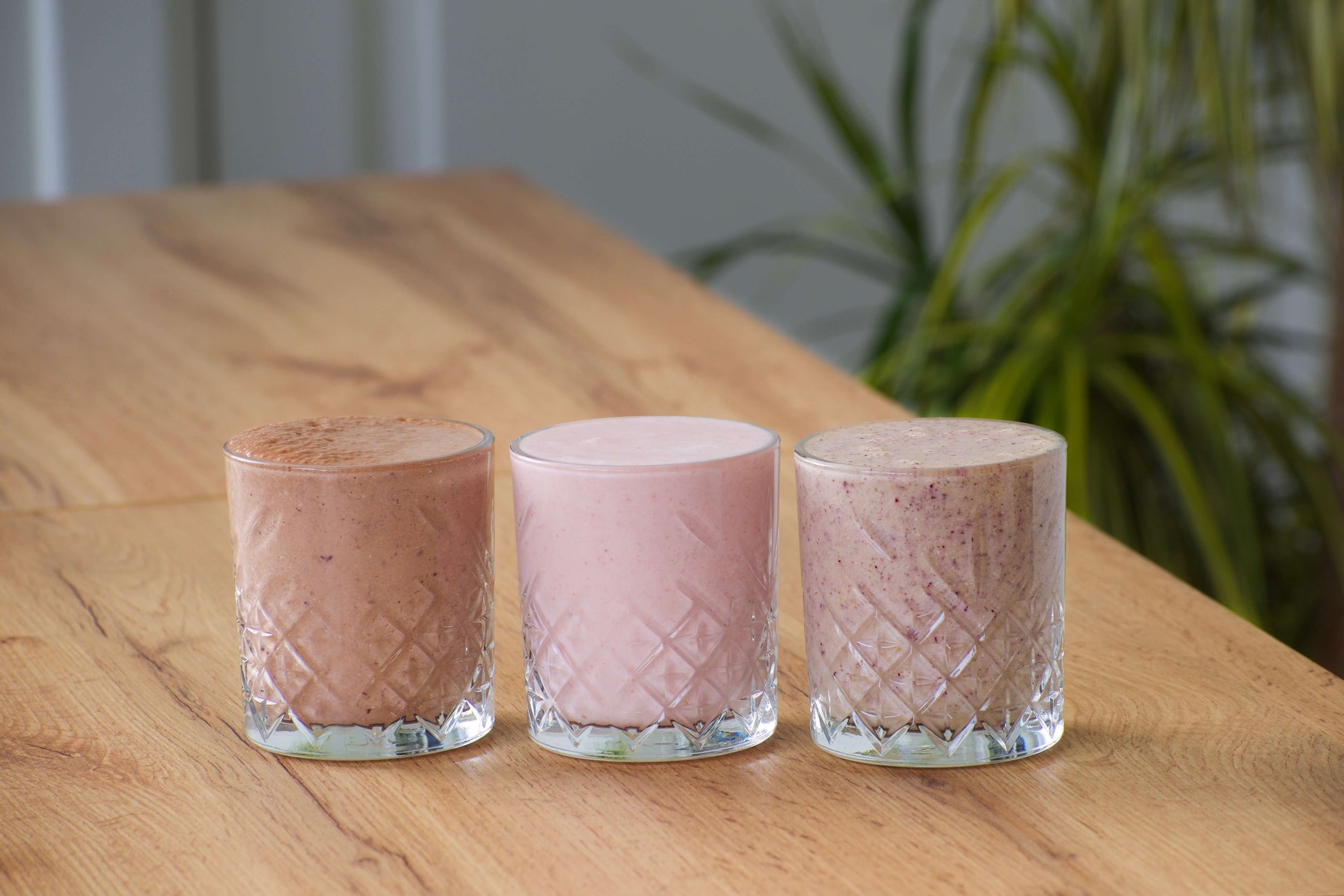 Starter Bag shown blended featuring three ready-to-blend protein smoothies: Tropical Harmony, Strawberry Balance, and Decadent Delight, made with real fruit and high-protein ingredients